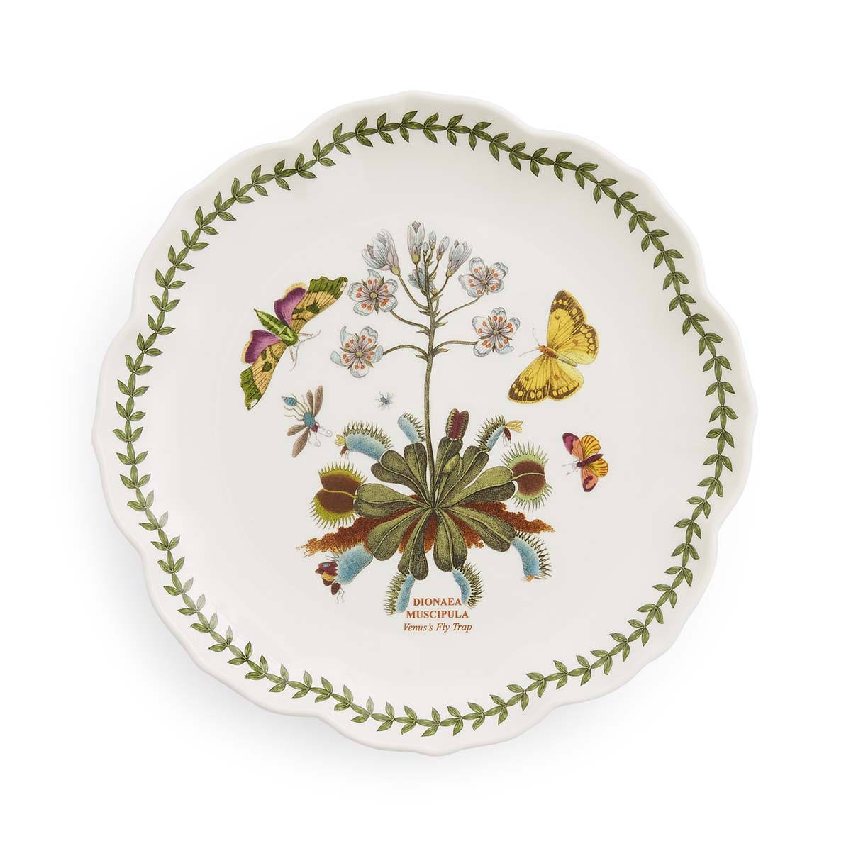 Botanic Garden Lotus Blossom Side Plate, Venus Fly Trap image number null